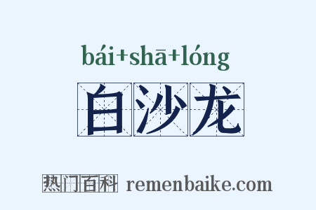 白沙龙是什么意思的图片